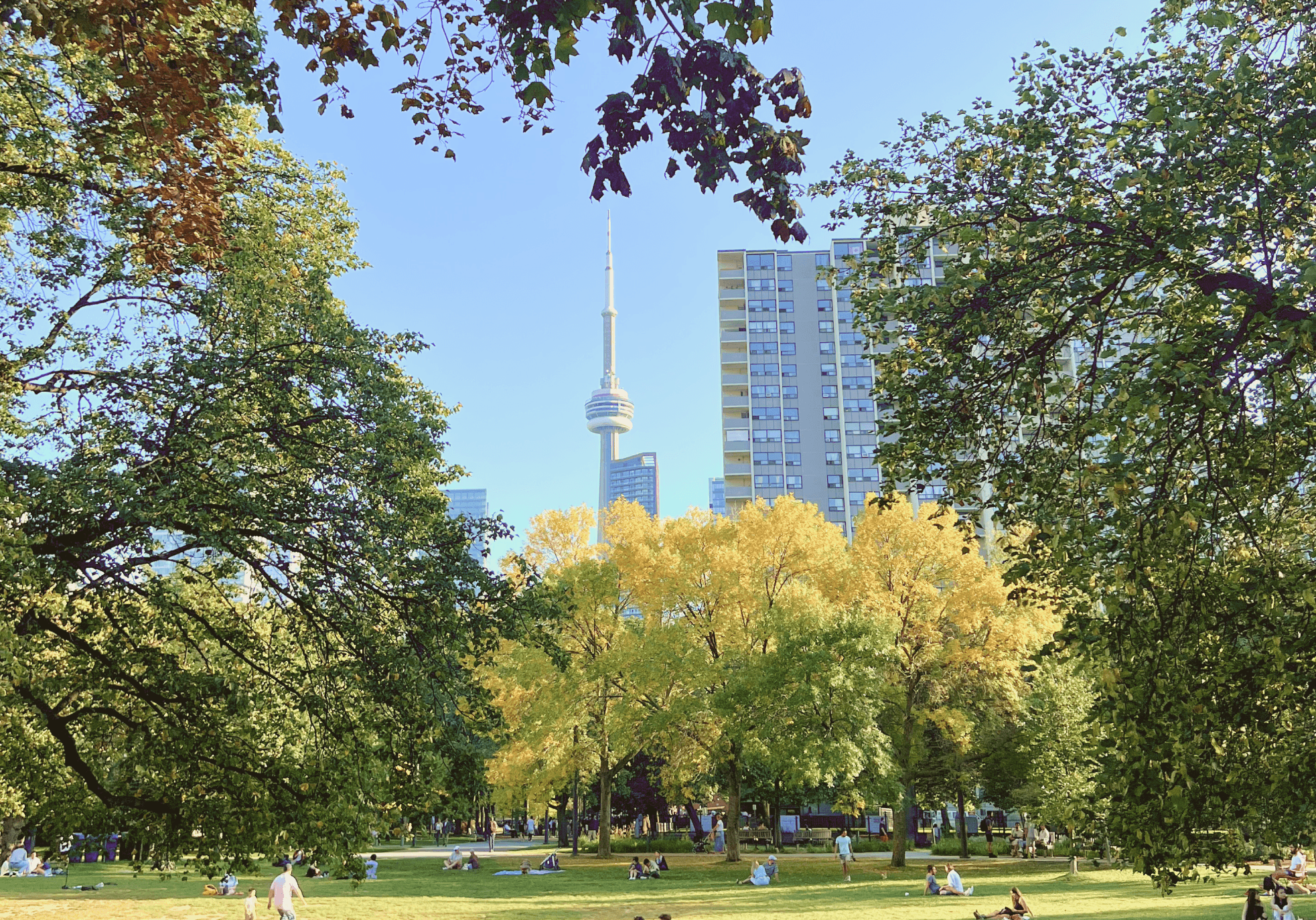 A photo of the CN tower from a park in Toronto.